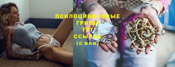 стафф Магас