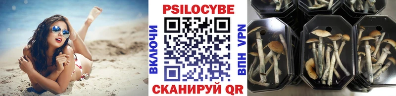 Галлюциногенные грибы ЛСД  Карабаш 
